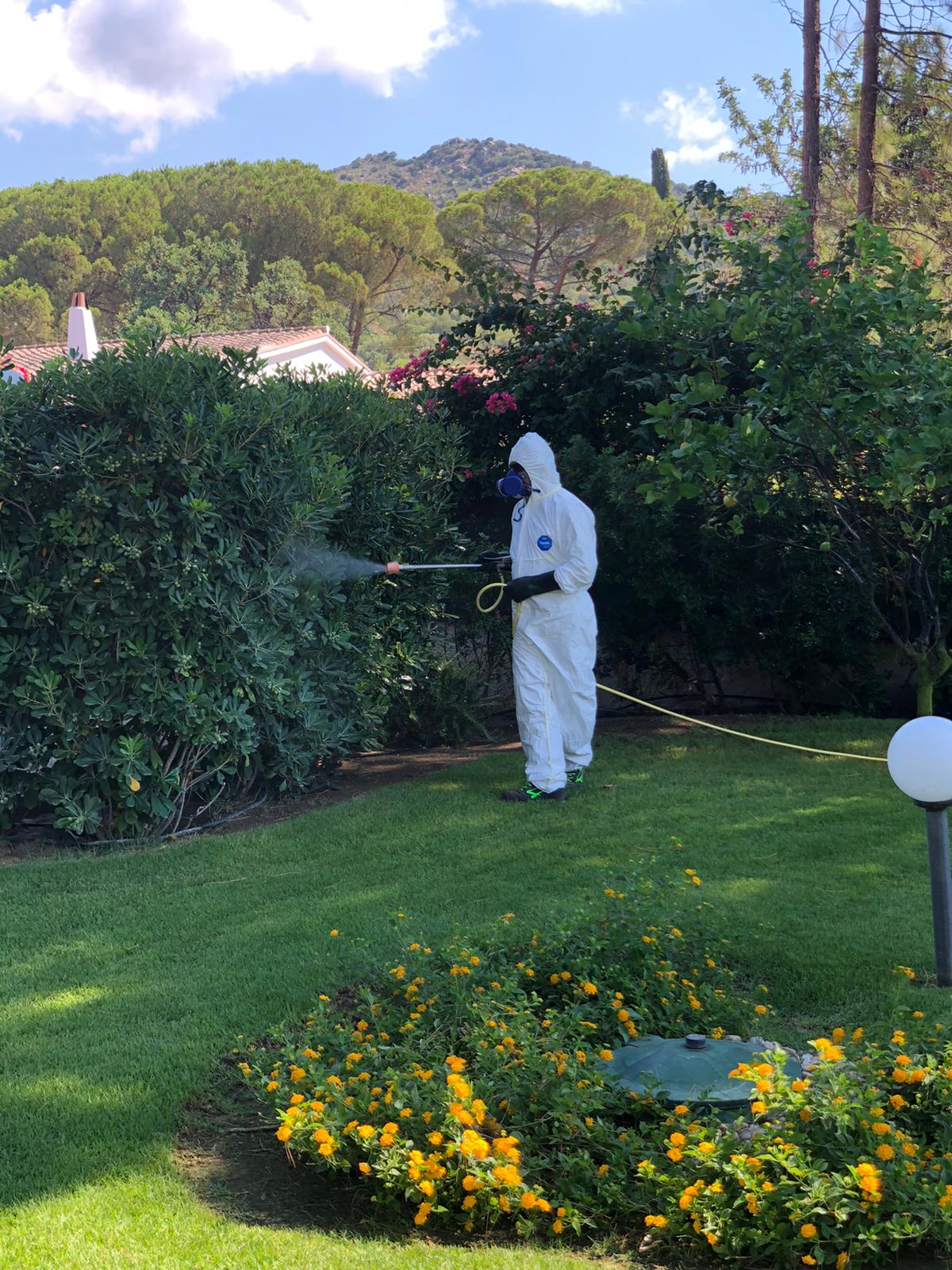 Disinfestazione siepe e giardino Cagliari