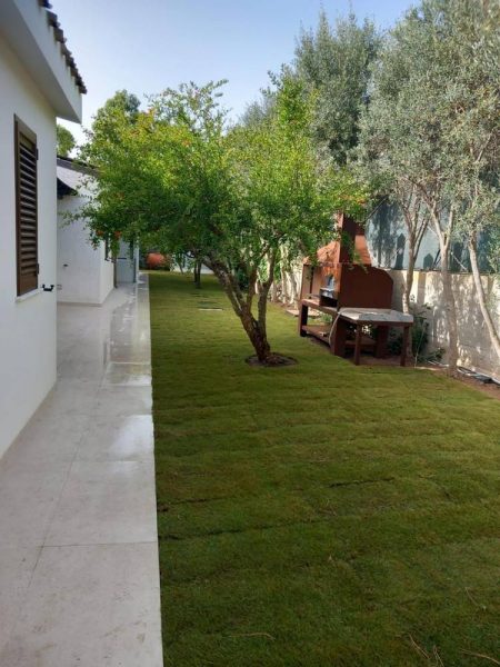 Realizzazione prato con erba a rotoli Cagliari (dopo i lavori)