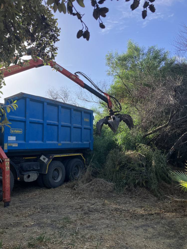 Raccolta e trasporto materiale di risulta giardinaggio Cagliari