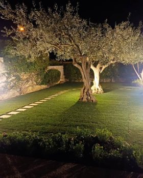 Realizzazione giardino completo a Cagliari con impianto di illuminazione