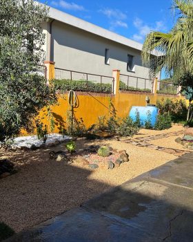 Realizzazione giardino privato e aiuole con piante grasse Cagliari